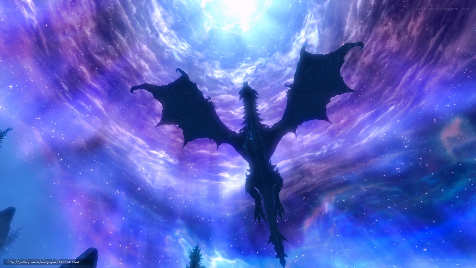 dragon in a starry sky