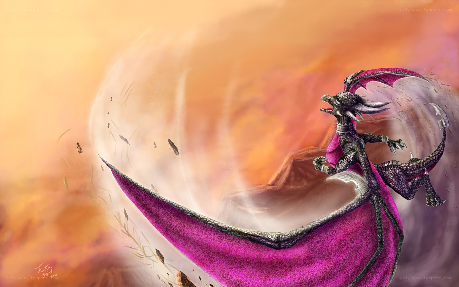 dragon in a storm