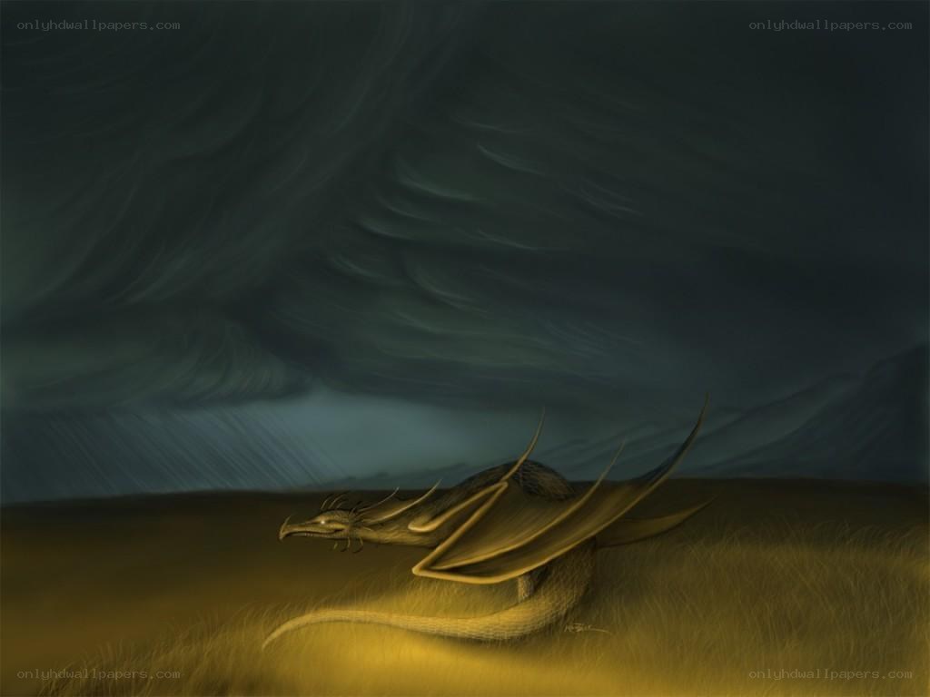 Dragon in a stormy field
