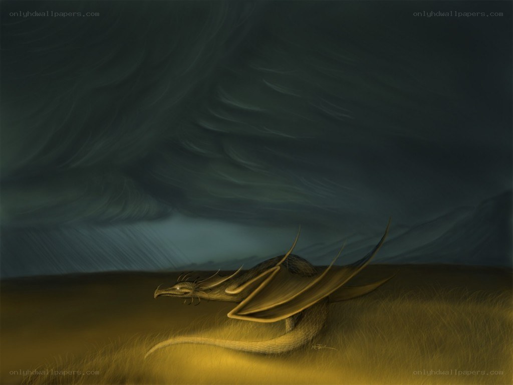 dragon in a stormy field