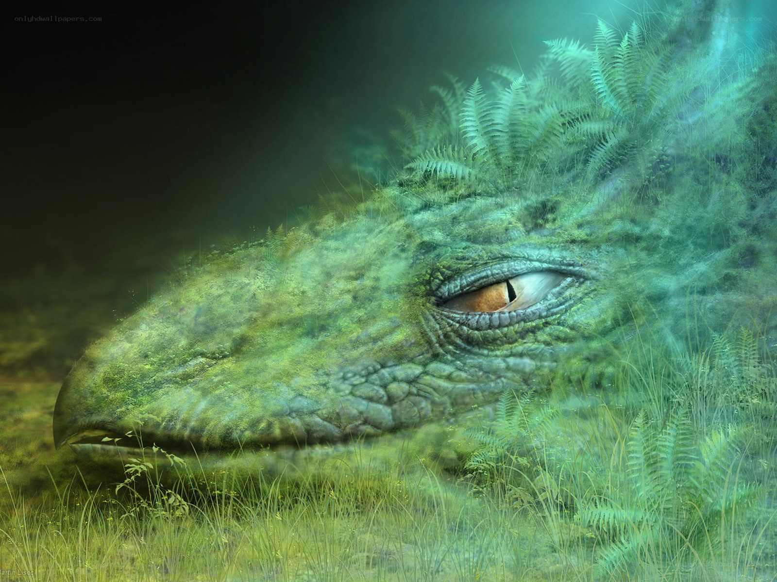 dragon in ancient forest