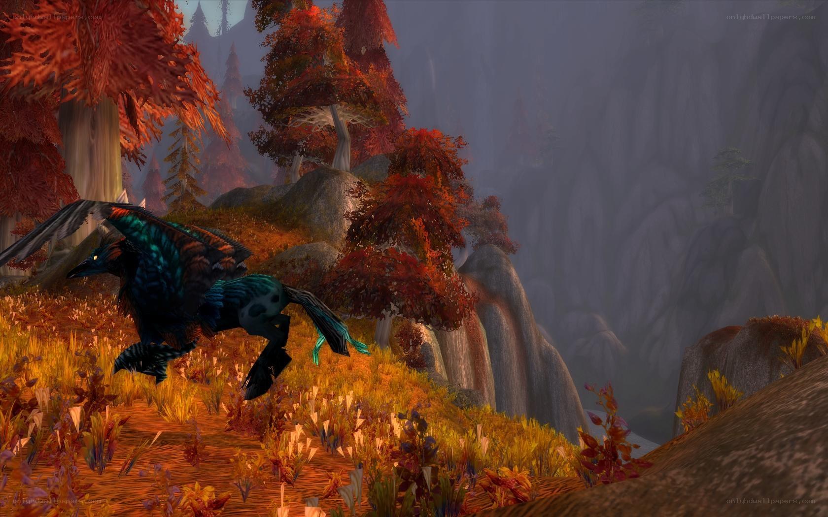 Dragon in autumn forest