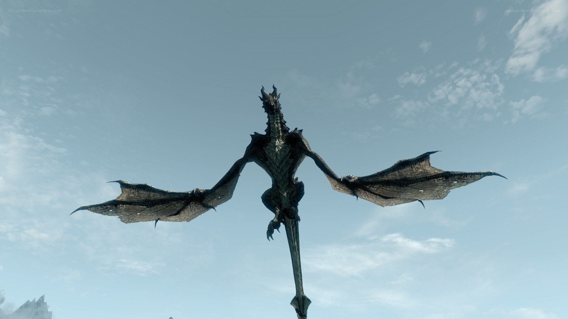dragon in flight