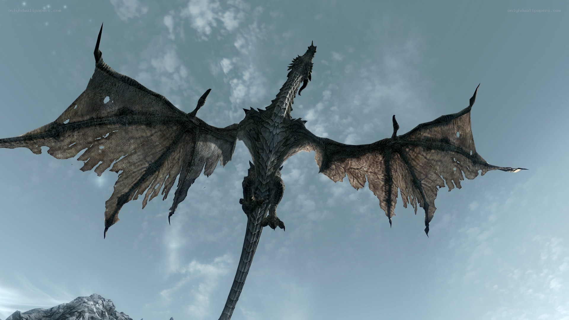 dragon in flight