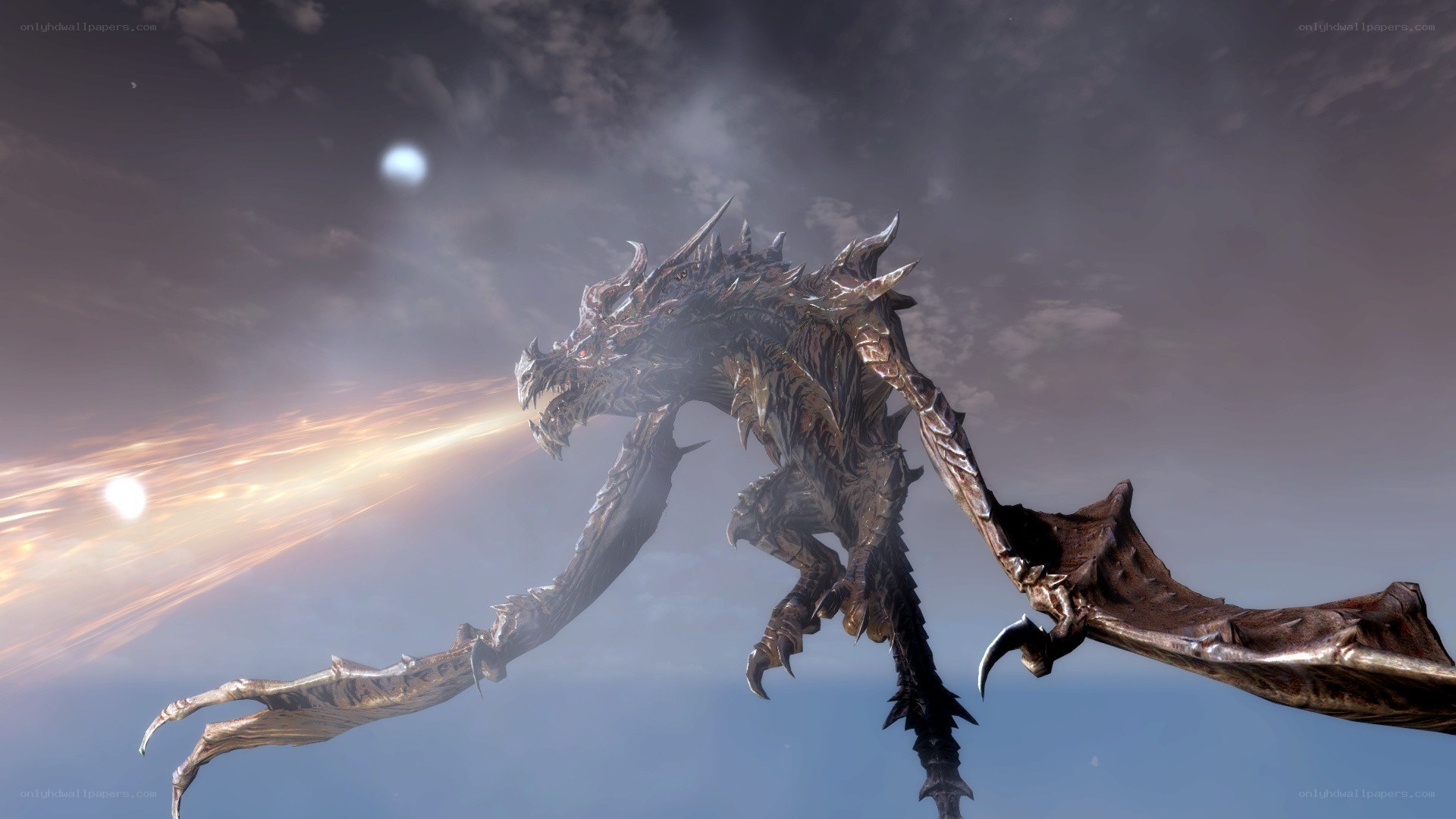 dragon in flight at sunset