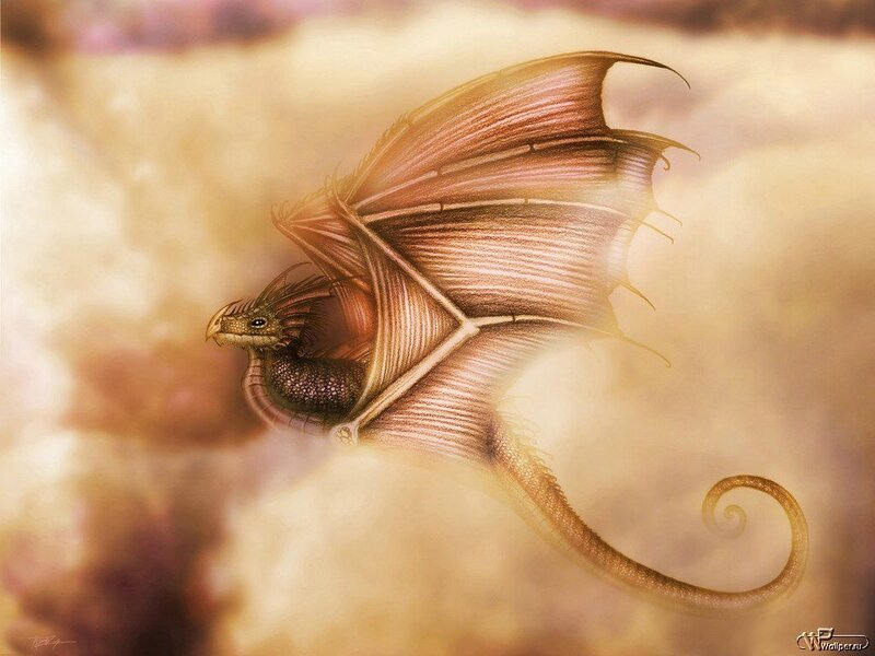 Dragon in Flight — Brown, Serene