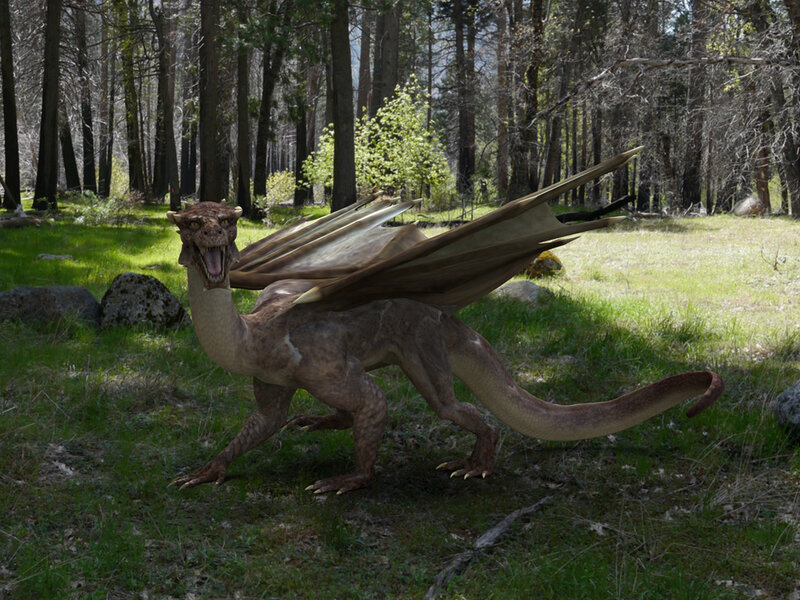 Dragon in Forest — Brown, Natural