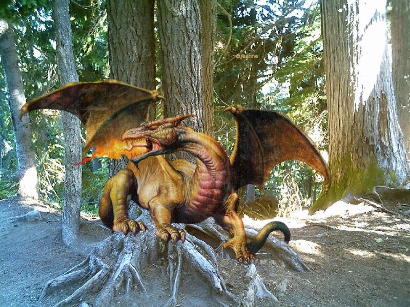 dragon in forest scene