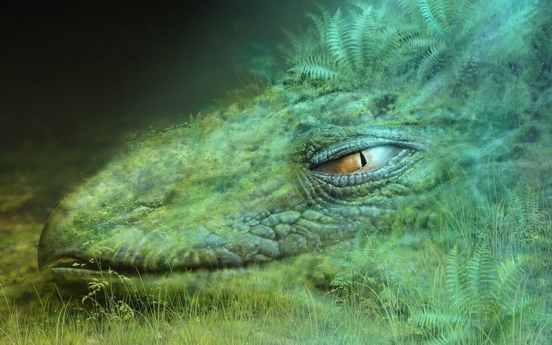 Dragon in Grass