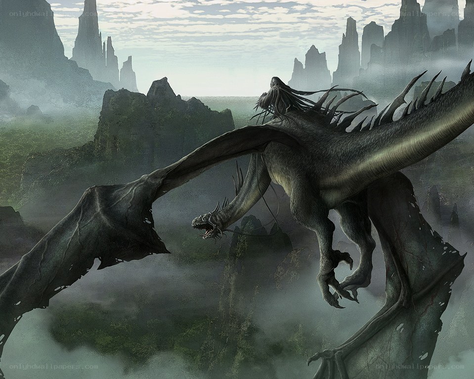 dragon in misty mountains