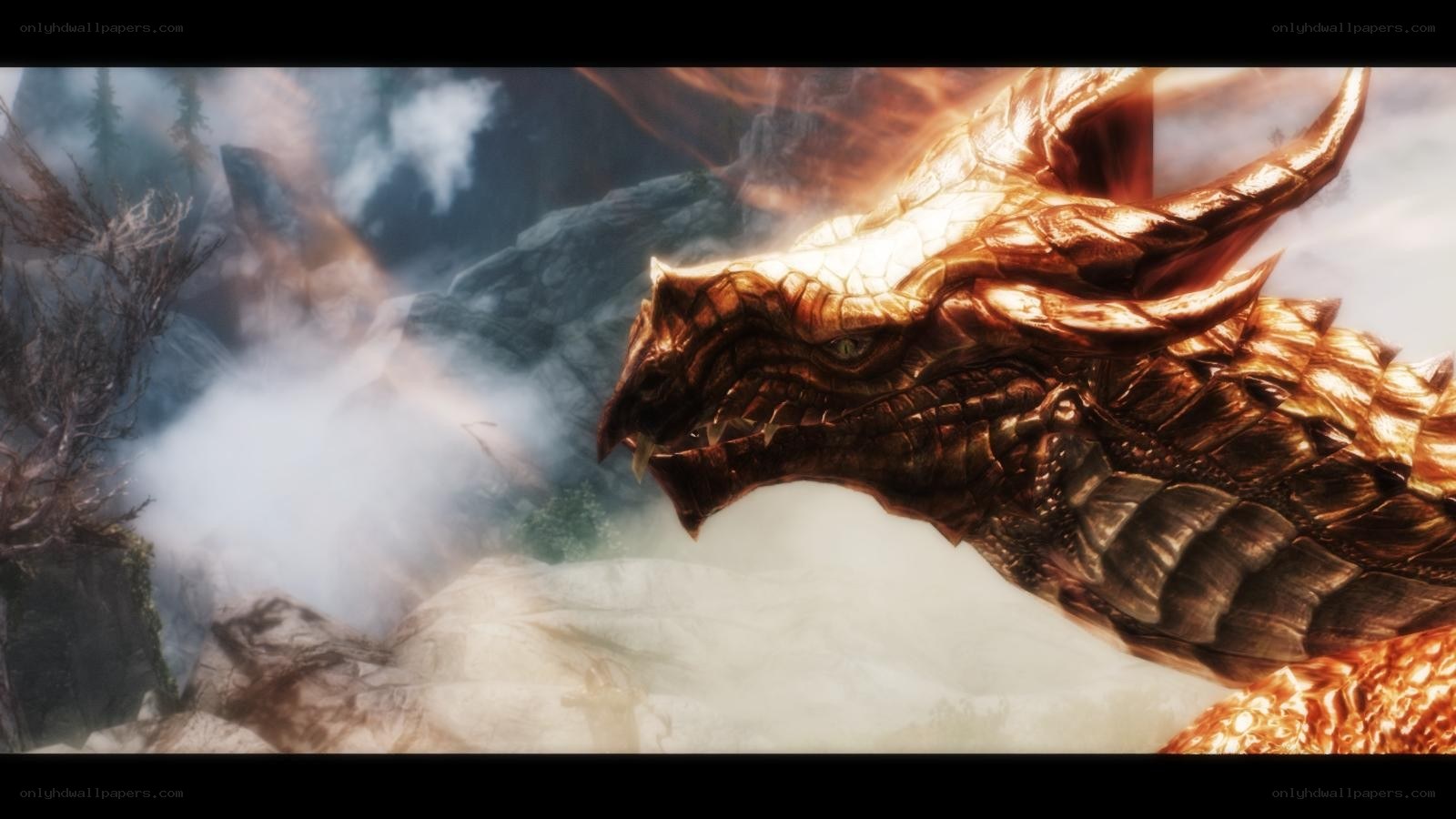 dragon in misty mountains