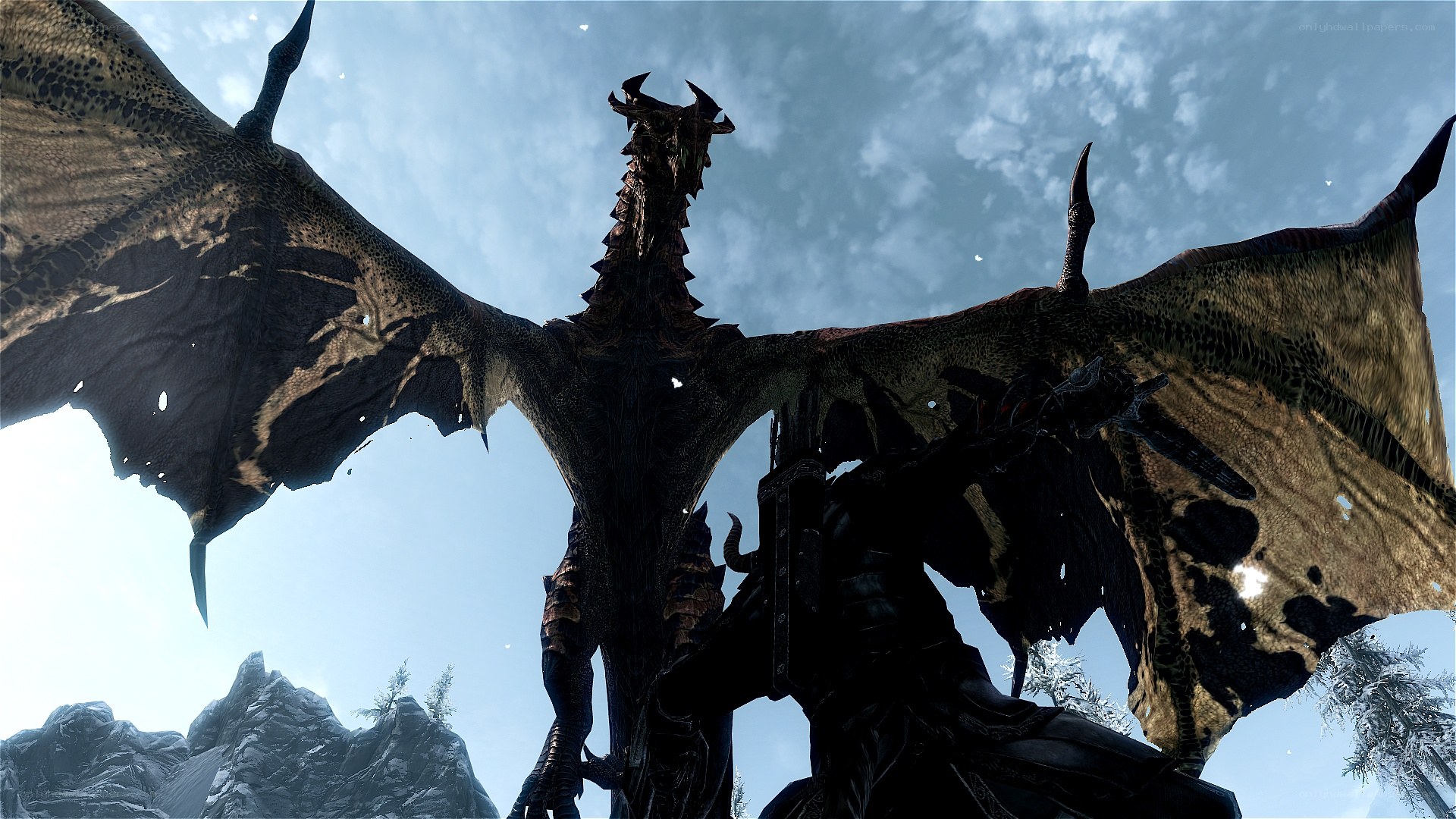 dragon in sky view