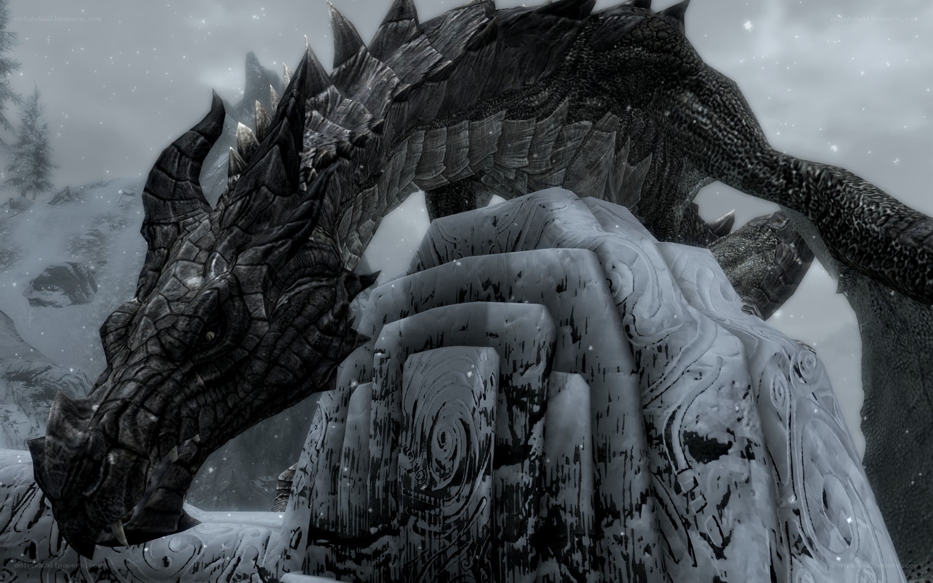 dragon in snowy landscape