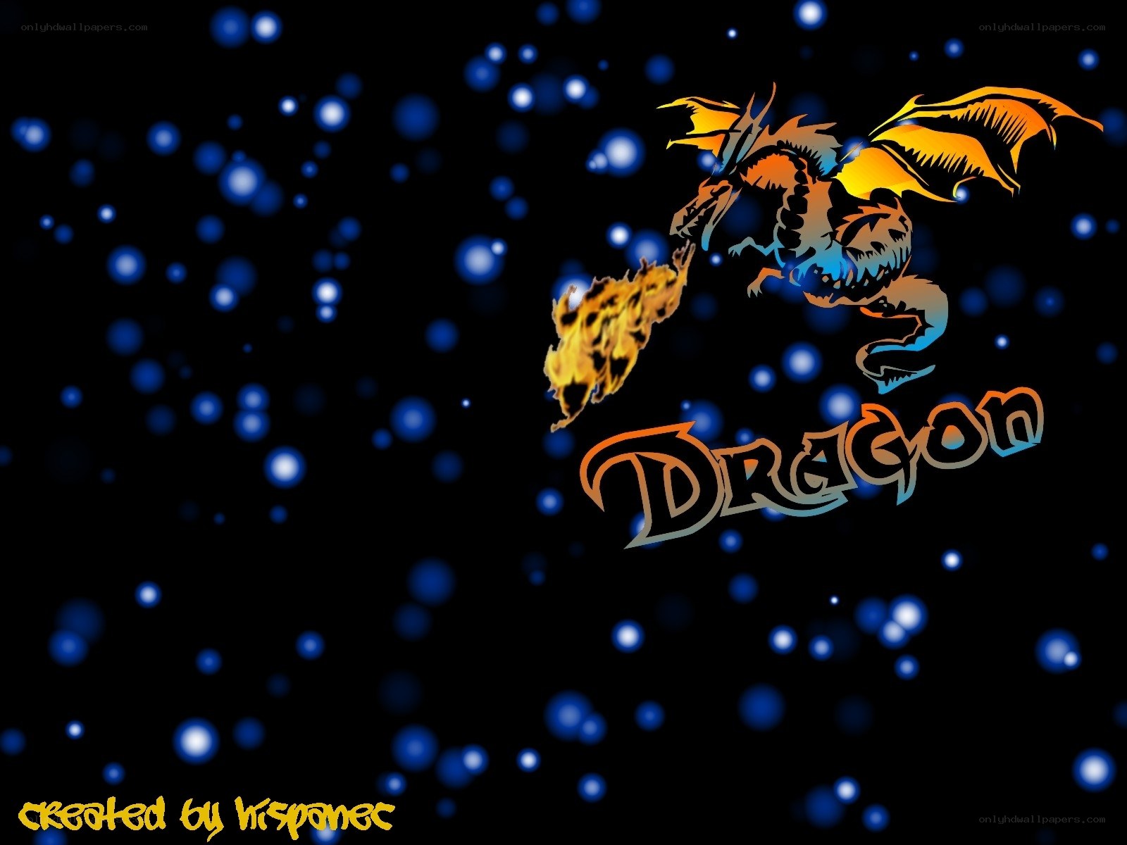 Dragon in starry night