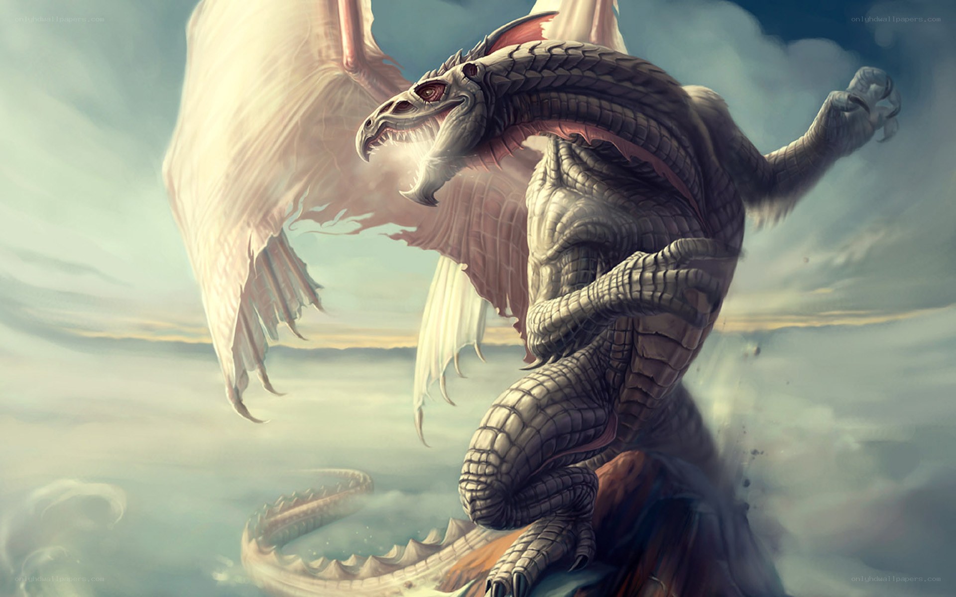 dragon in the clouds