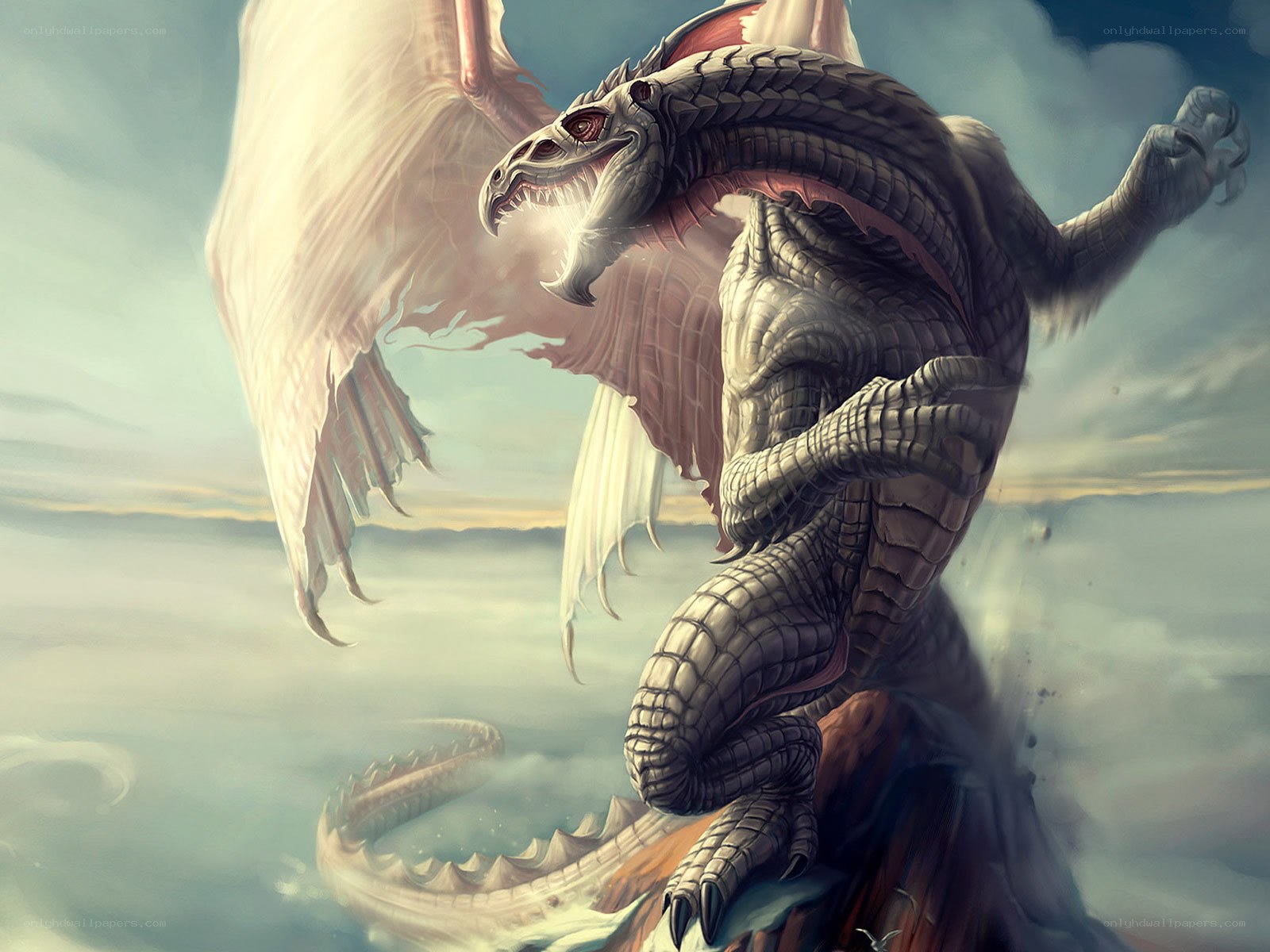 dragon in the clouds