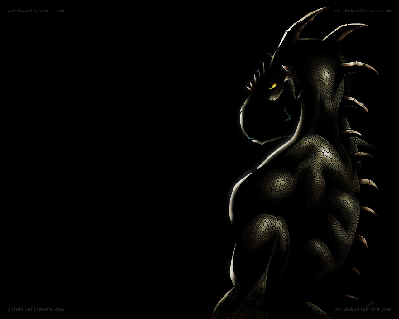 dragon in the dark