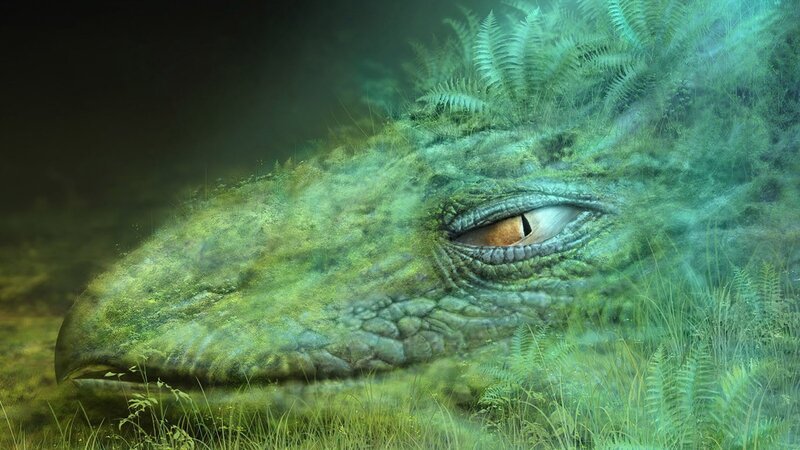 dragon in the forest