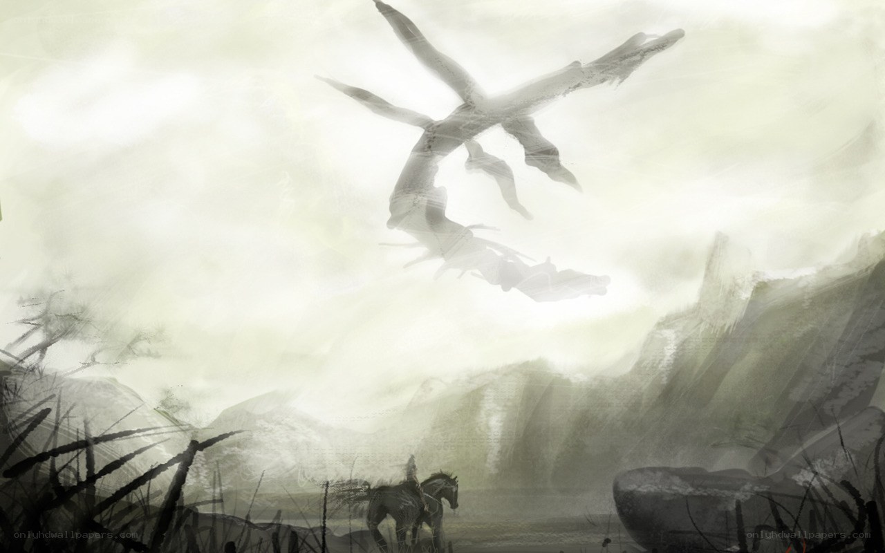 Dragon in the misty sky