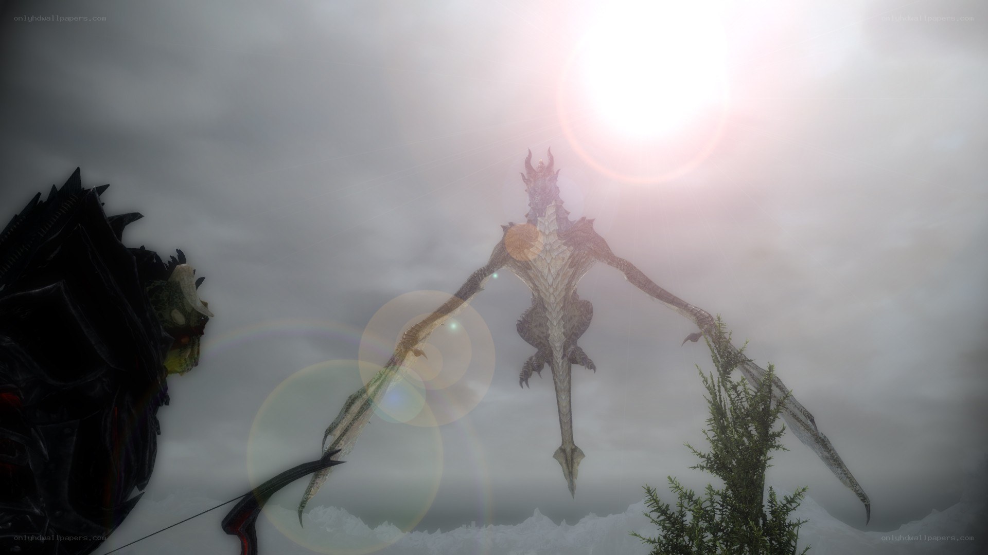 dragon in the sky
