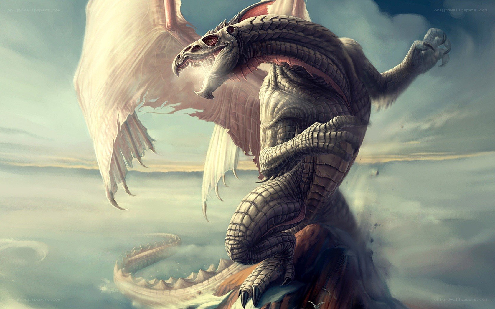 dragon in the sky