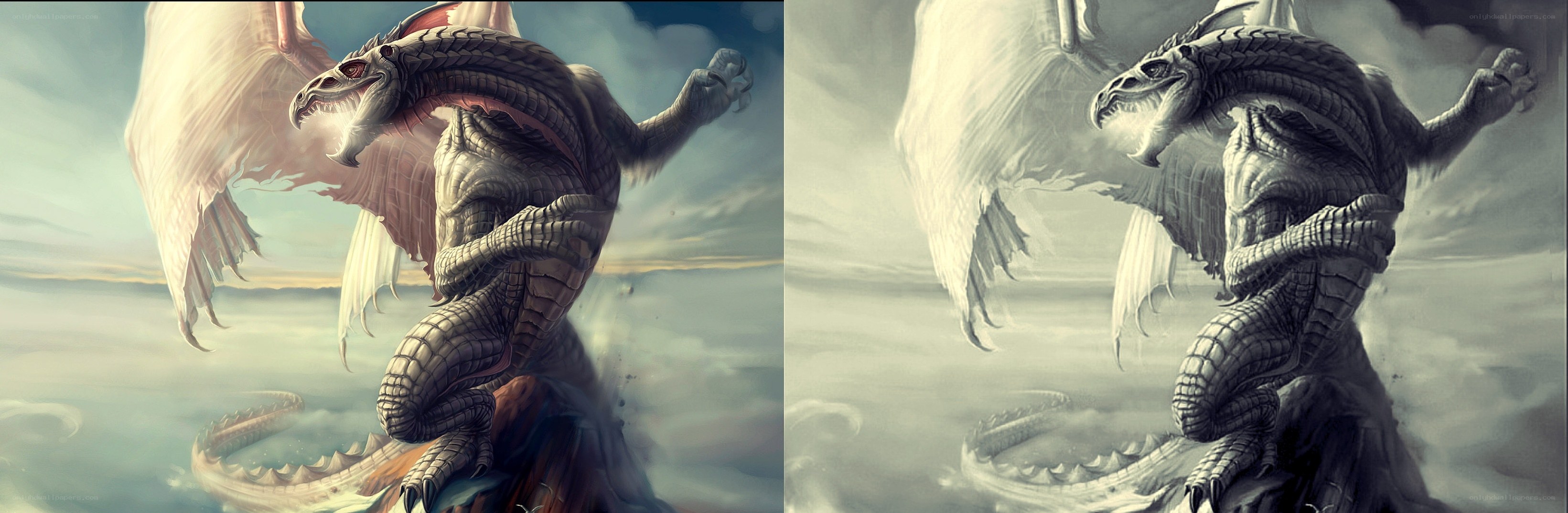 dragon in the sky