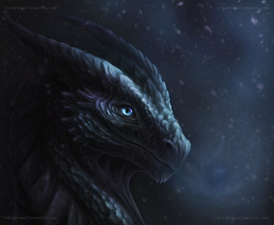 dragon in the snow