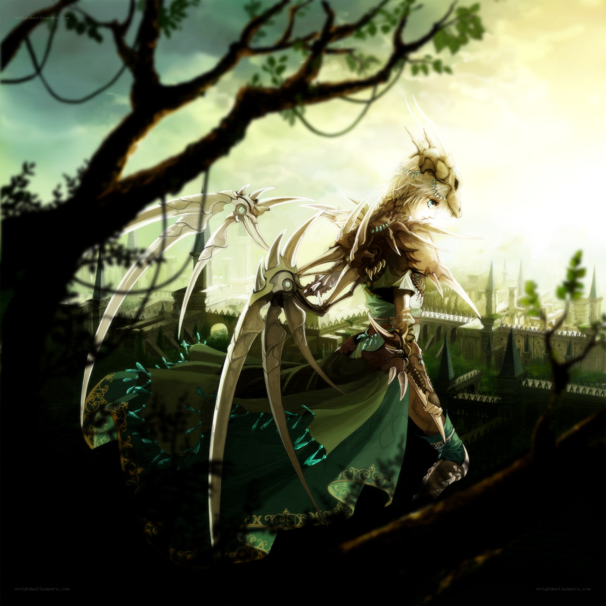 dragon knight overlooking castle