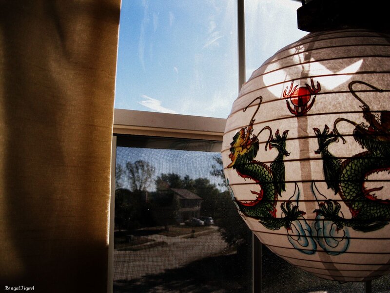Dragon lantern by window