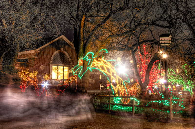 Dragon Light Display