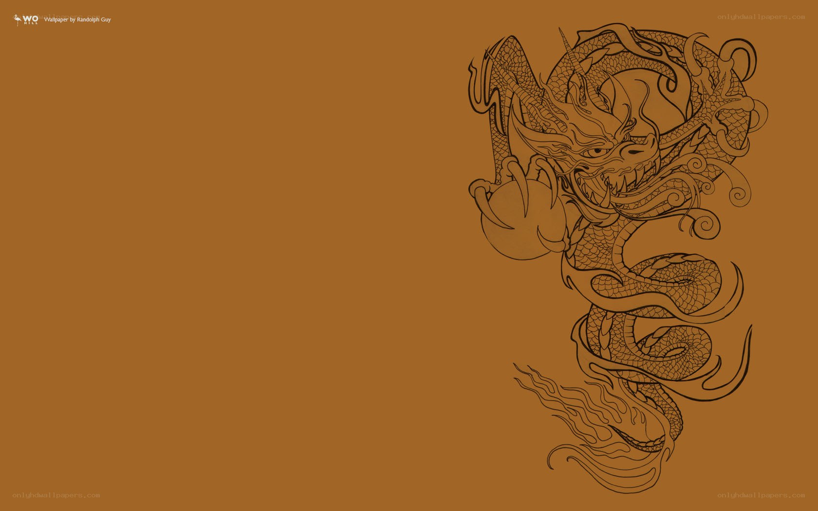 dragon line art wallpaper