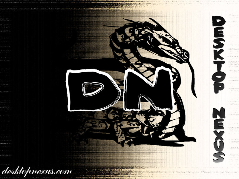 Dragon logo desktop wallpaper