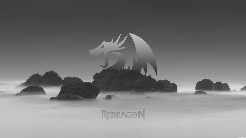Dragon Logo on Rocks
