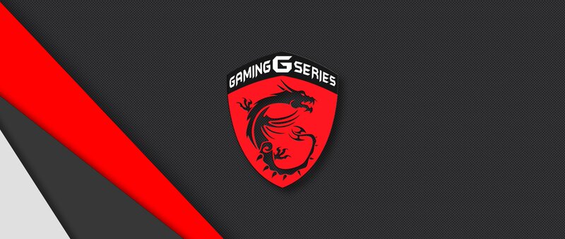 Dragon Logo on Shield