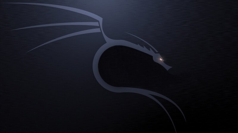 Dragon Logo Silhouette