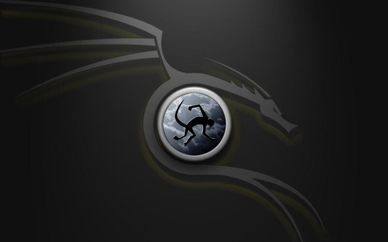 Dragon Logo with Monkey