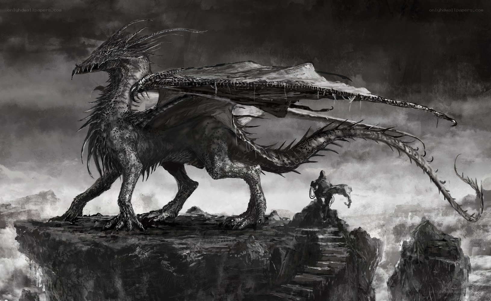 dragon on a cliff