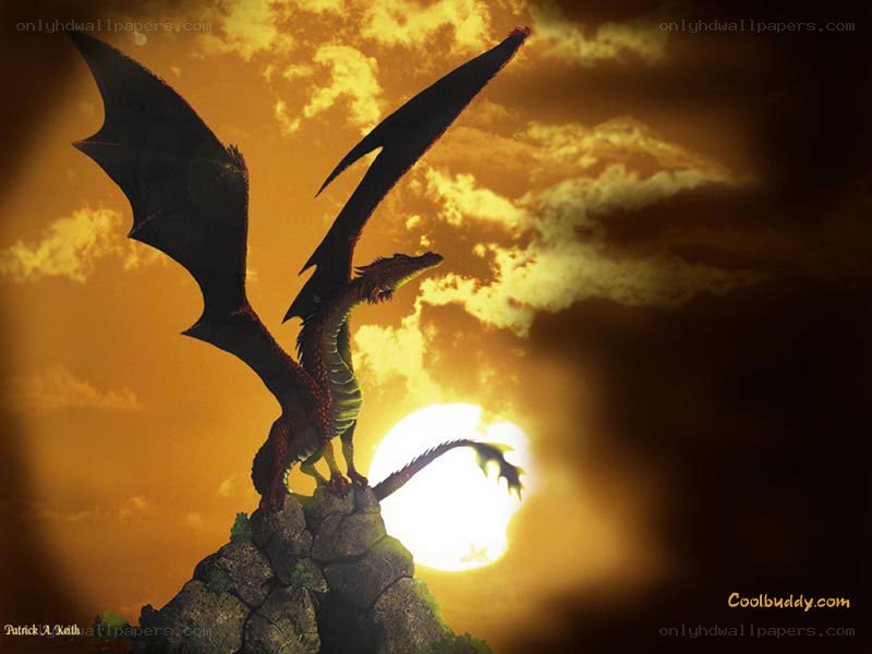 dragon on a cliff at sunset