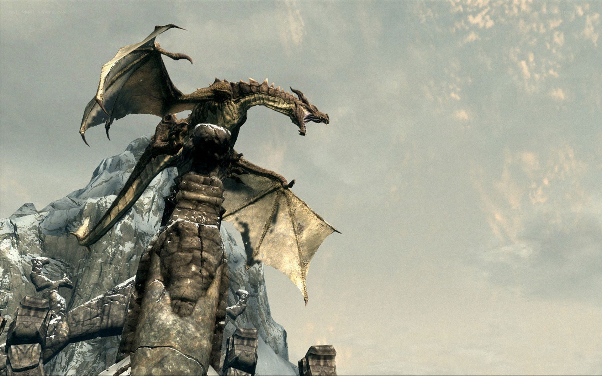 dragon on a mountain peak
