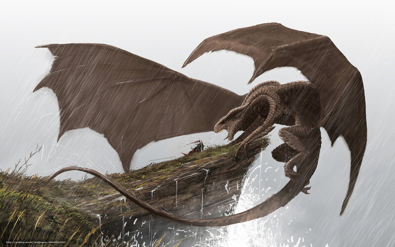 Dragon on a rainy cliff