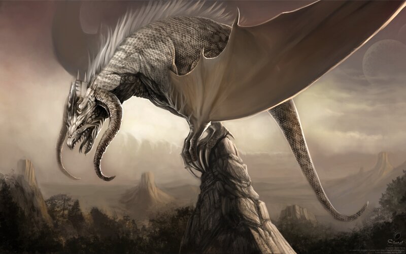 Dragon on a Rock — Gray