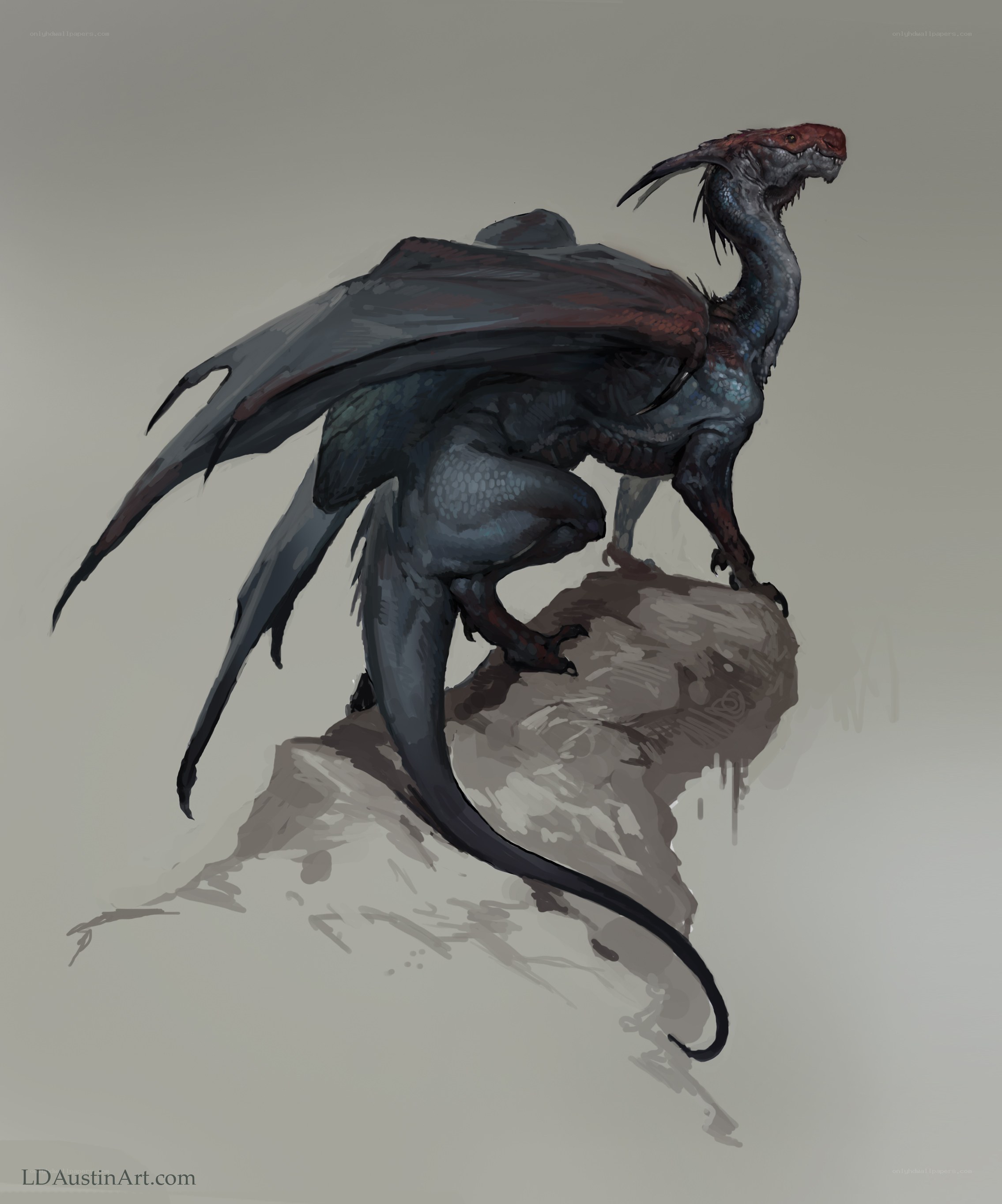 dragon on a rock