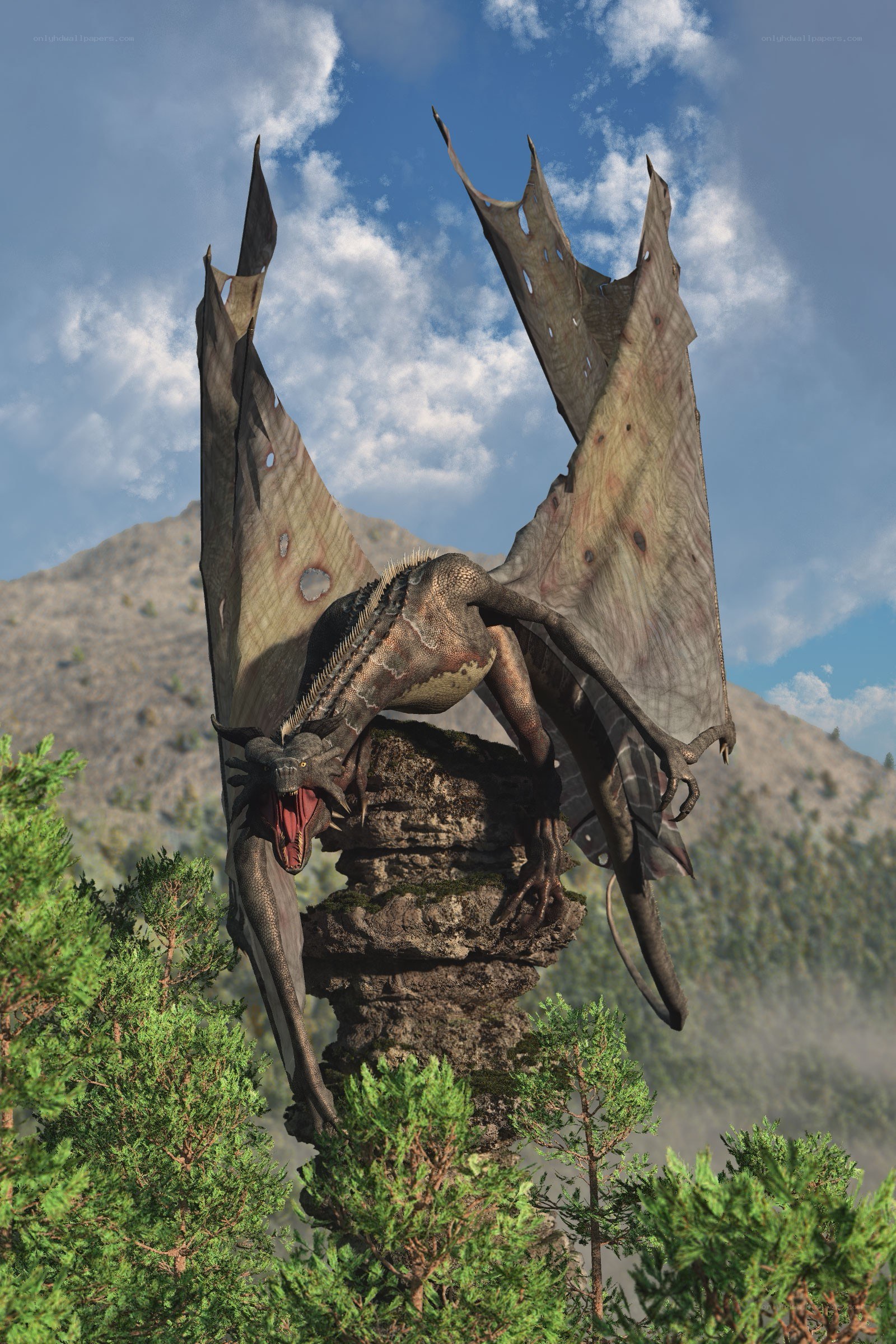 dragon on a rocky peak