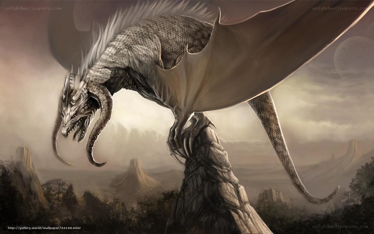 dragon on a rocky peak