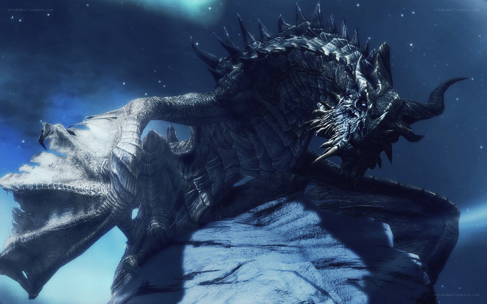 dragon on a snowy peak