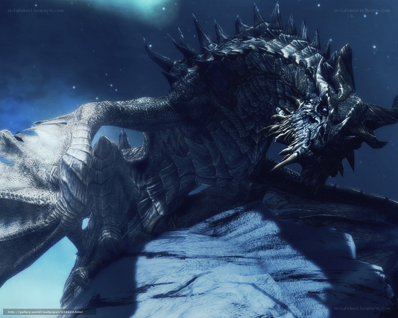 dragon on a snowy peak