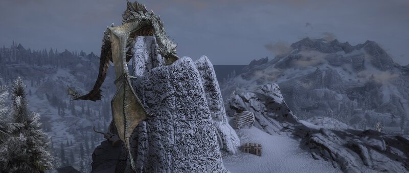 Dragon on a Stone