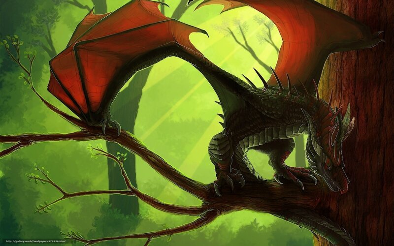 dragon on a tree branch