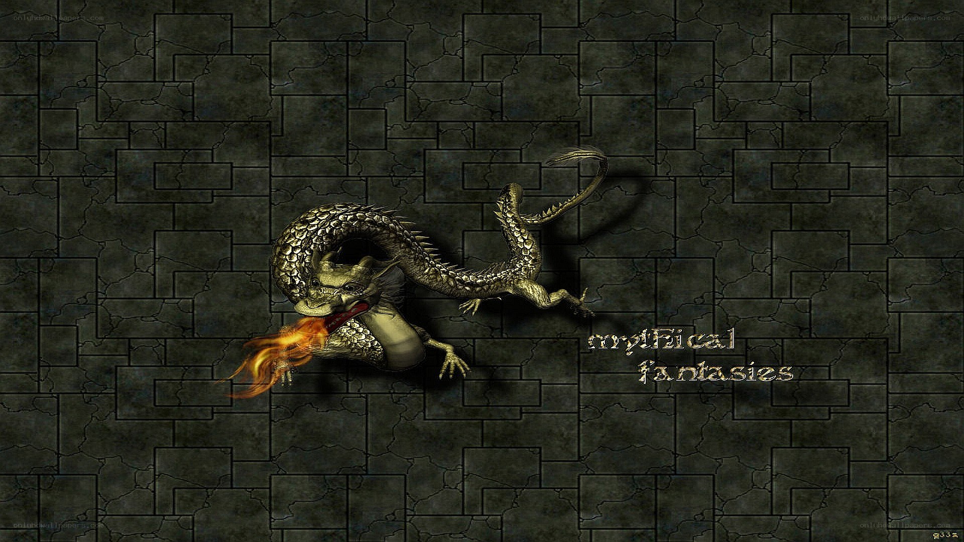 dragon on stone wall