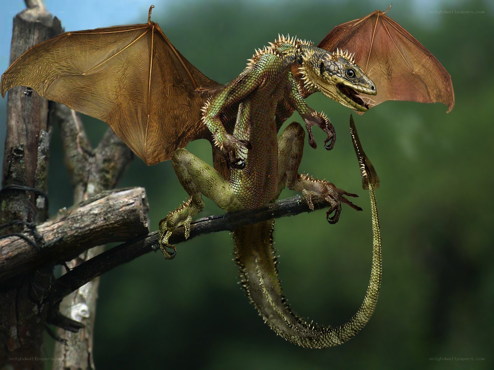 dragon perched on a branch